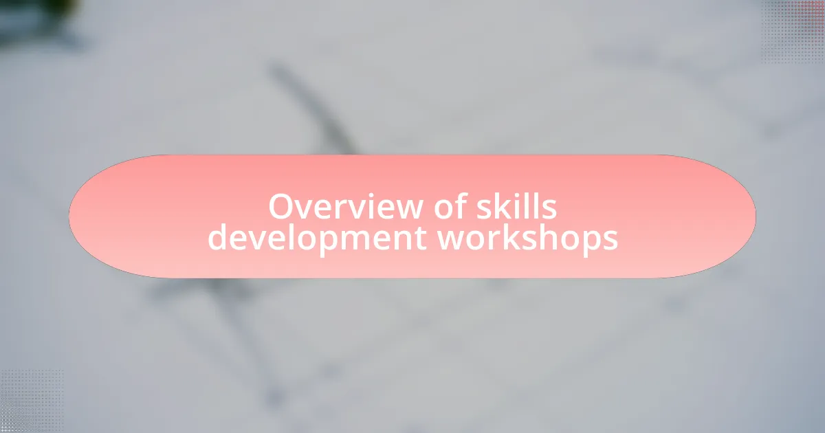 Overview of skills development workshops